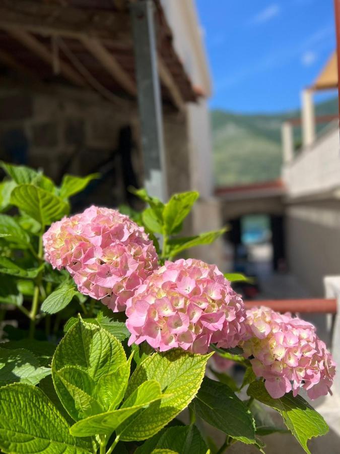 Sea Front 171 Apartment Kotor Bagian luar foto