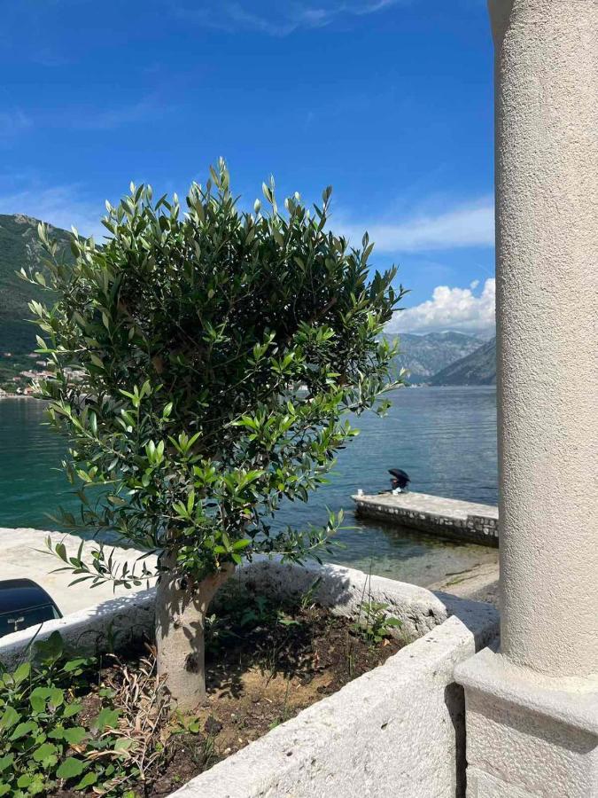 Sea Front 171 Apartment Kotor Bagian luar foto